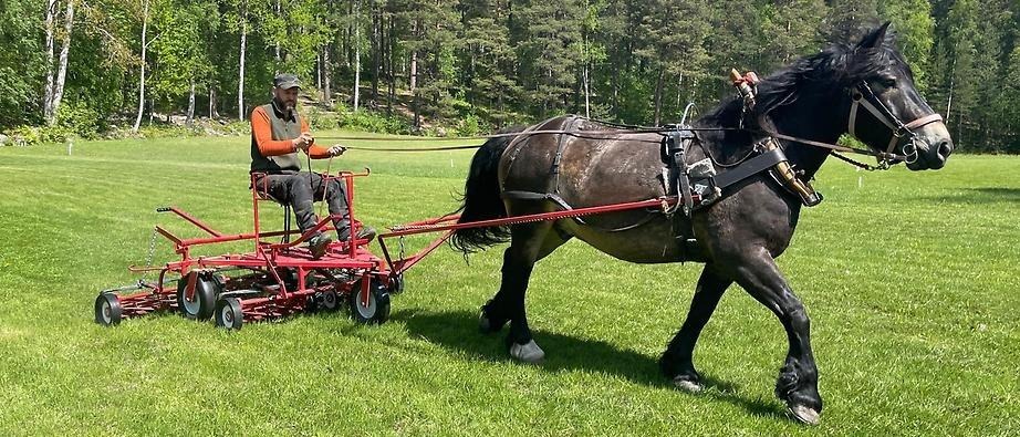 Häst som drar slåttervagn